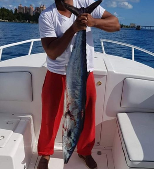 Catch fish, not stress in Bahamas